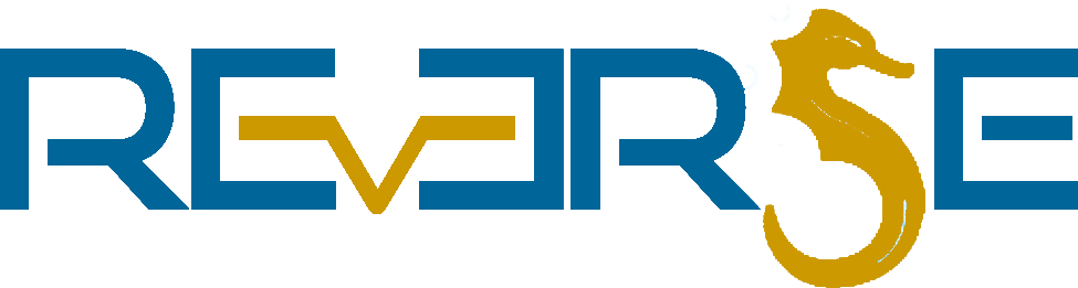 Reverse@unina Reverse@unina